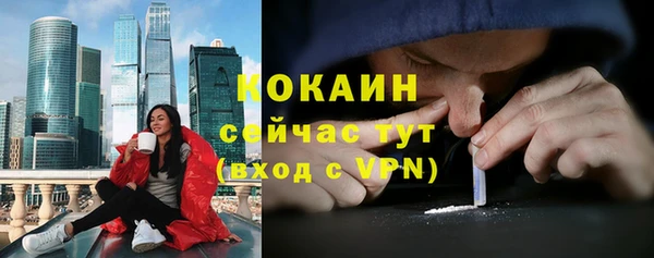 прущие крисы Богданович