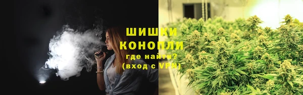 прущие крисы Богданович