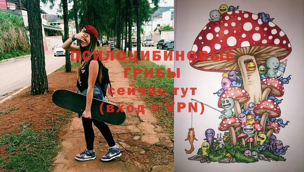 прущие крисы Богданович