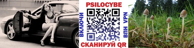 Галлюциногенные грибы Psilocybe продажа наркотиков Монино